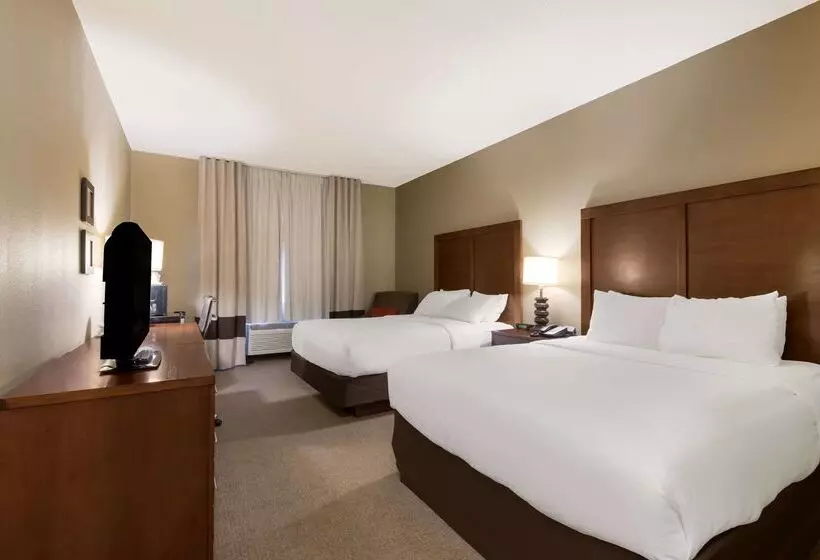 ホテル Comfort Inn East