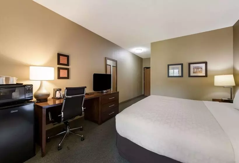 ホテル Comfort Inn East