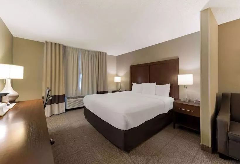 ホテル Comfort Inn East