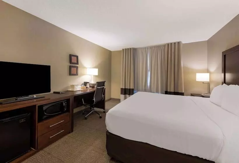 ホテル Comfort Inn East