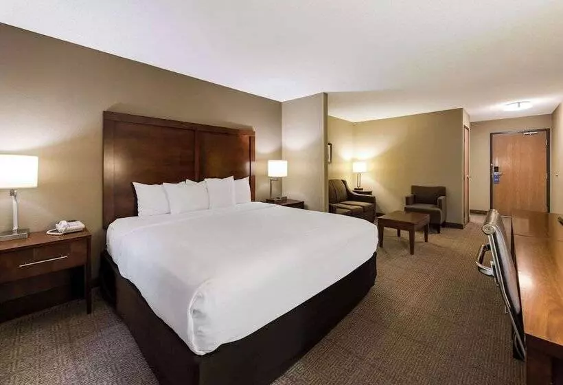 ホテル Comfort Inn East