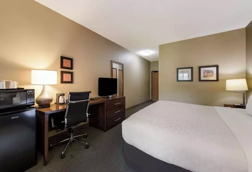 ホテル Comfort Inn East