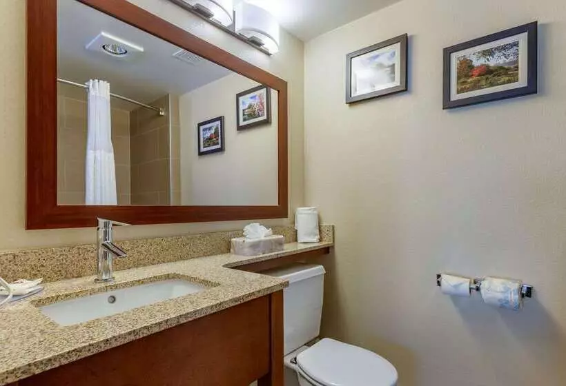 酒店 Comfort Inn Edgewater On Hudson River