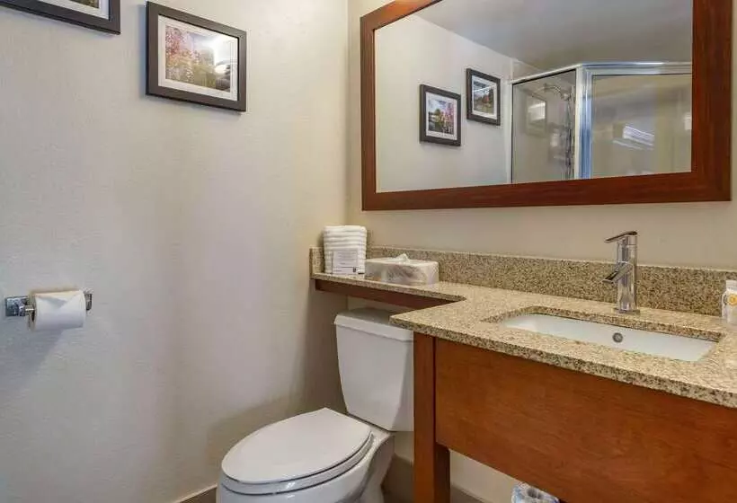 酒店 Comfort Inn Edgewater On Hudson River