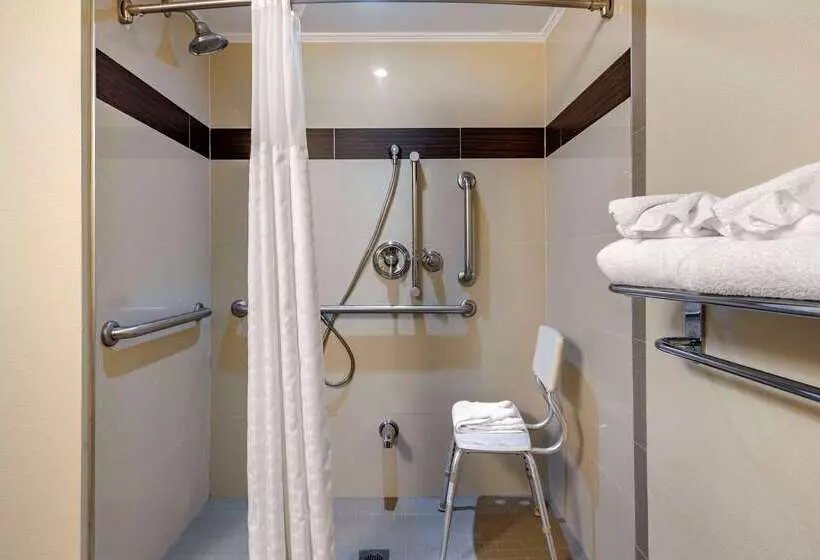 酒店 Comfort Inn Edgewater On Hudson River