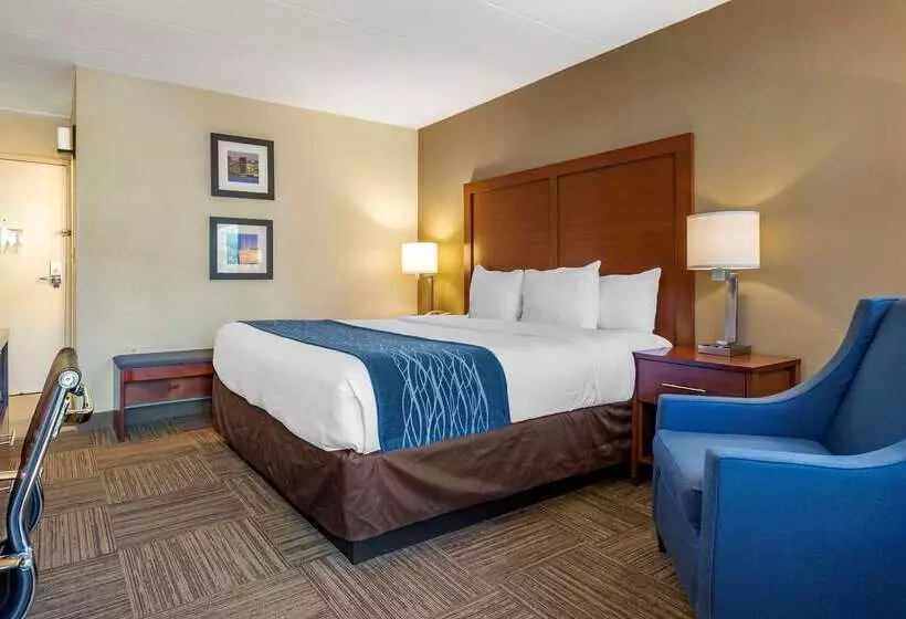 酒店 Comfort Inn Edgewater On Hudson River