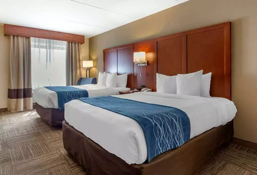 酒店 Comfort Inn Edgewater On Hudson River