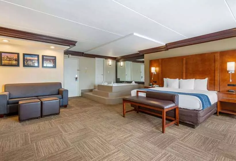 酒店 Comfort Inn Edgewater On Hudson River