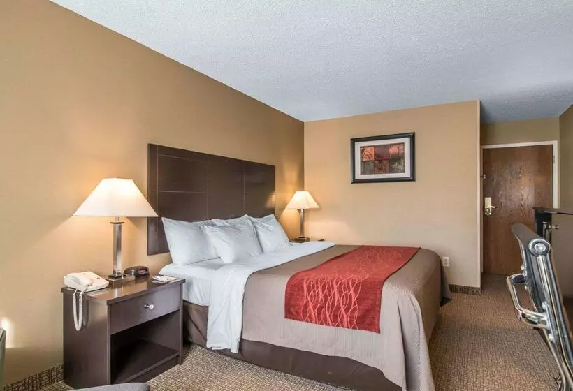 Отель Comfort Inn