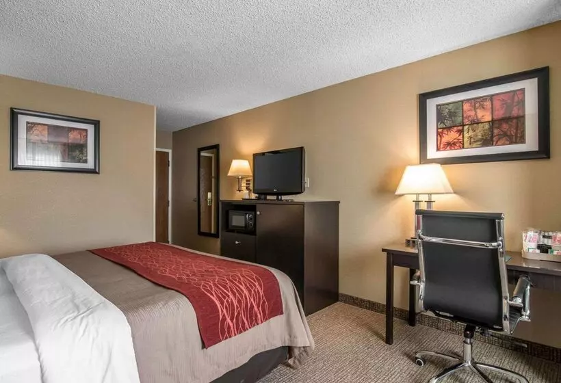 Отель Comfort Inn
