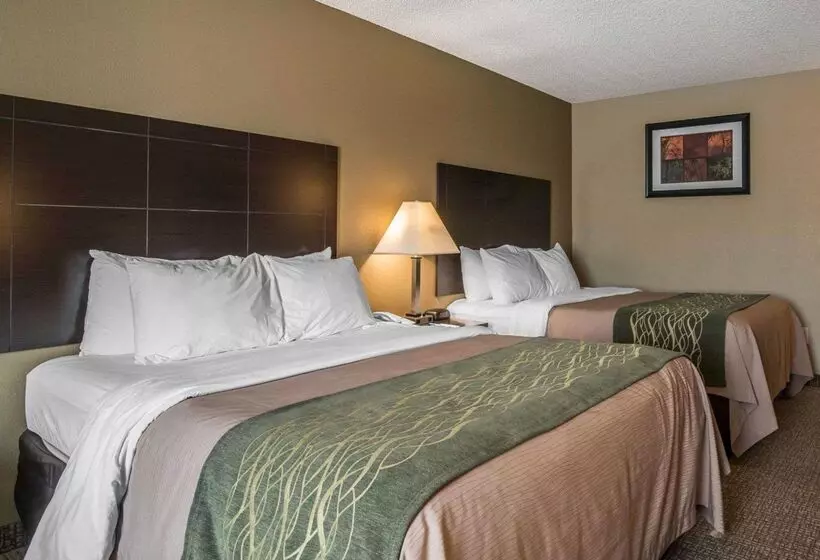 Отель Comfort Inn