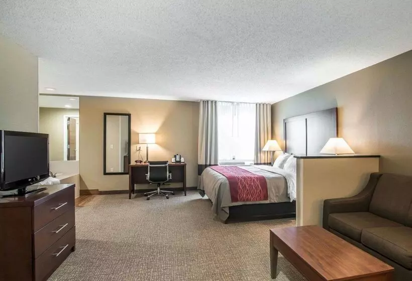 Отель Comfort Inn