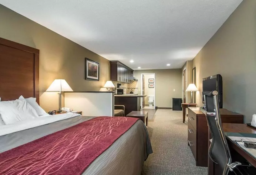 Отель Comfort Inn