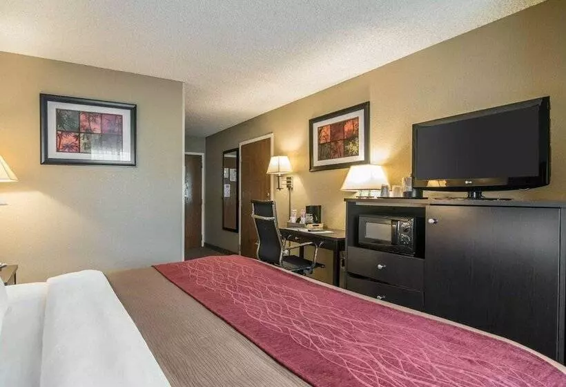 Отель Comfort Inn