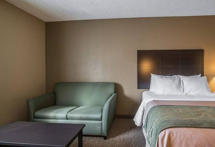 فندق Comfort Inn