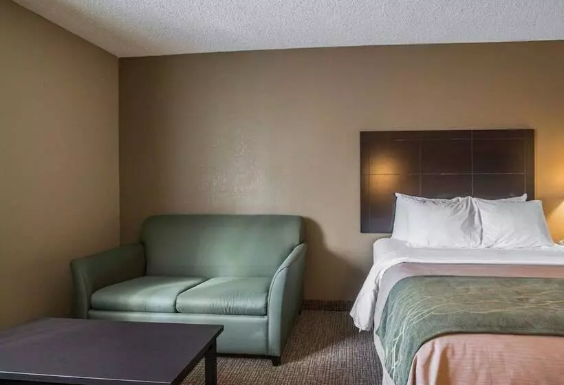 Отель Comfort Inn