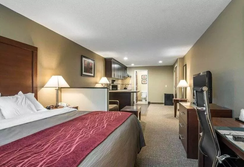 Отель Comfort Inn