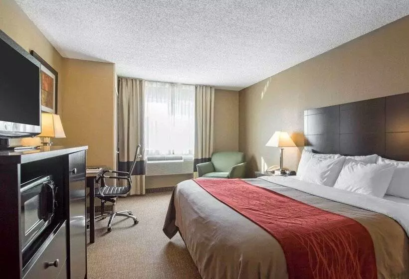Отель Comfort Inn
