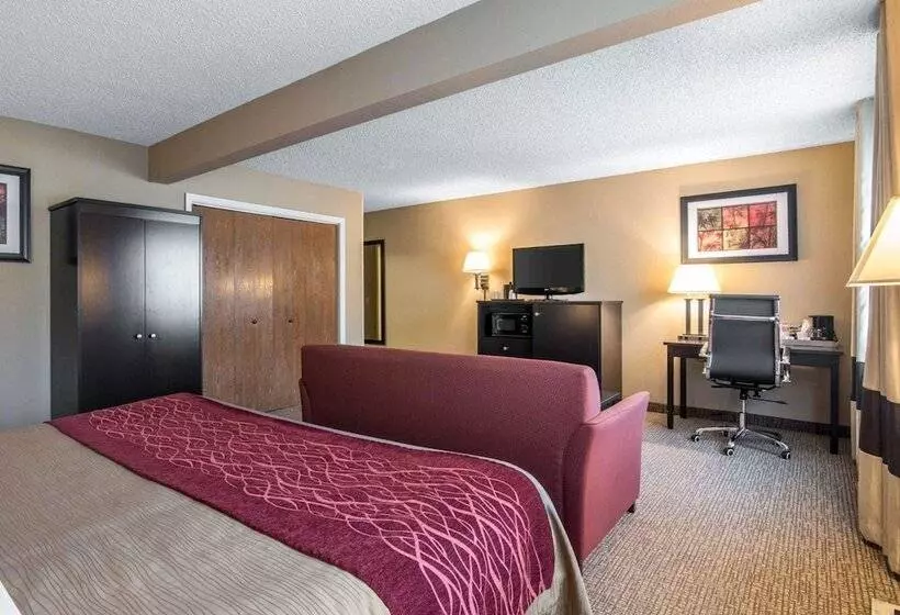 Отель Comfort Inn