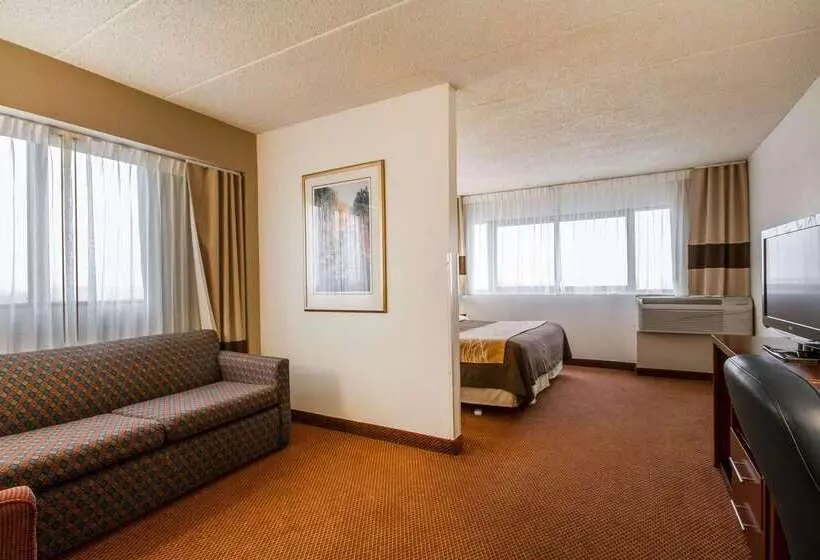 Отель Comfort Inn & Suites Madison  Airport