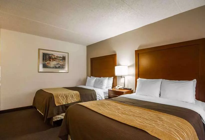 Отель Comfort Inn & Suites Madison  Airport