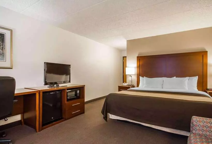 Отель Comfort Inn & Suites Madison  Airport