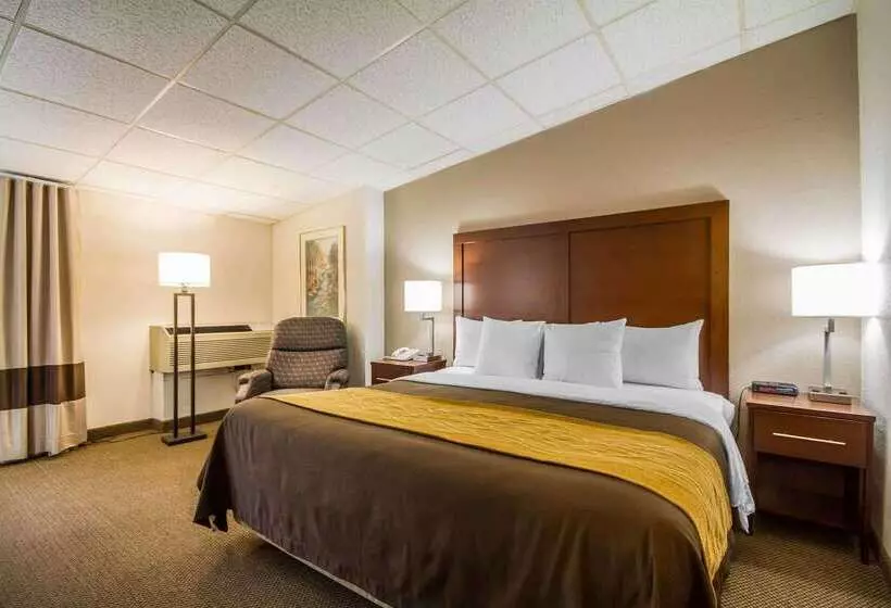 Отель Comfort Inn & Suites Madison  Airport