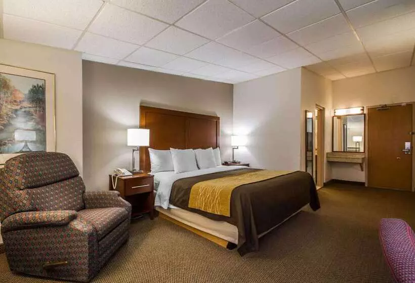 Отель Comfort Inn & Suites Madison  Airport