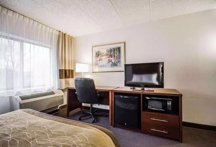 Отель Comfort Inn & Suites Madison  Airport