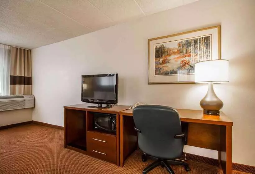 Отель Comfort Inn & Suites Madison  Airport