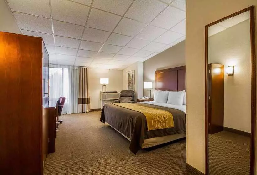 Отель Comfort Inn & Suites Madison  Airport
