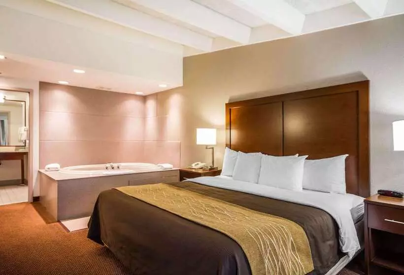 Отель Comfort Inn & Suites Madison  Airport