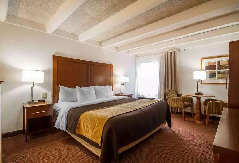 Отель Comfort Inn & Suites Madison  Airport