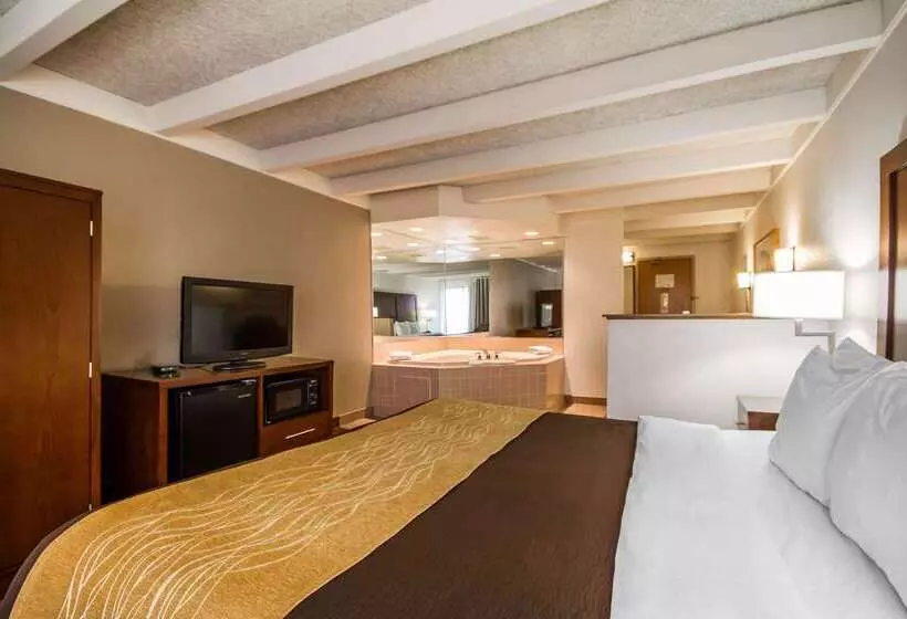 Отель Comfort Inn & Suites Madison  Airport