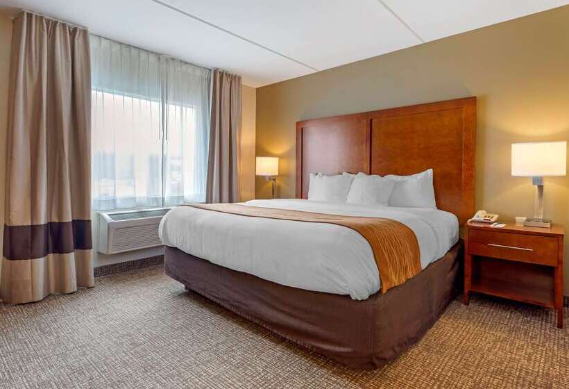 בית מלון כפרי Comfort Inn & Suites Wilkes Barre  Arena