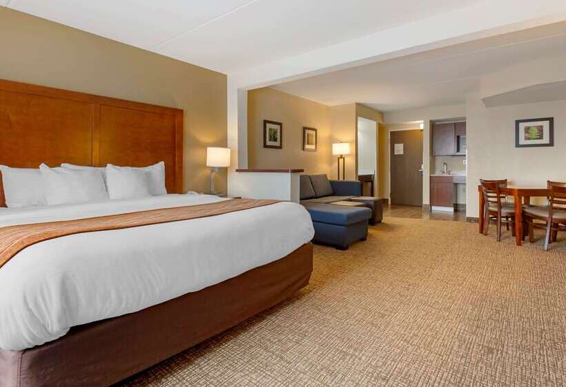 בית מלון כפרי Comfort Inn & Suites Wilkes Barre  Arena