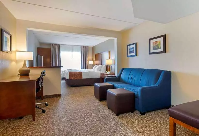 Отель Comfort Inn & Suites Wilkes Barre Arena