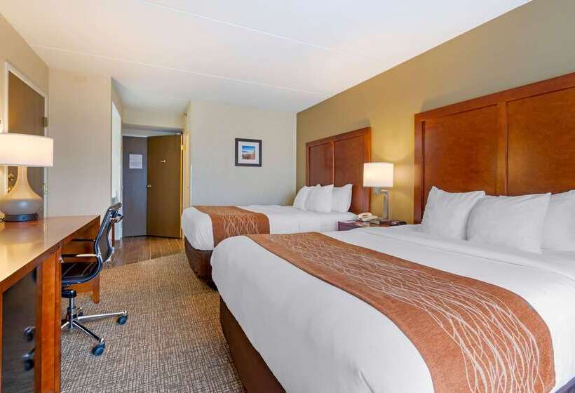 בית מלון כפרי Comfort Inn & Suites Wilkes Barre  Arena