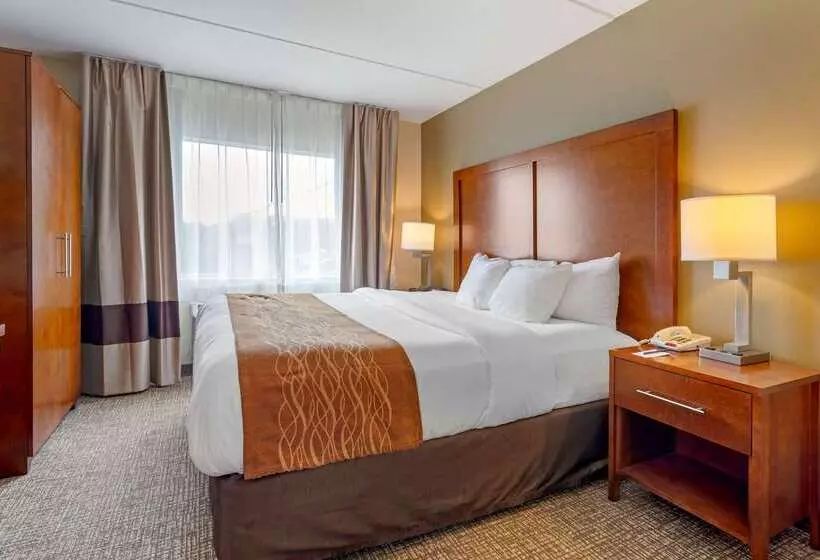 Отель Comfort Inn & Suites Wilkes Barre Arena