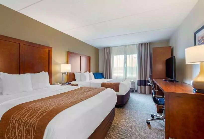 Отель Comfort Inn & Suites Wilkes Barre Arena