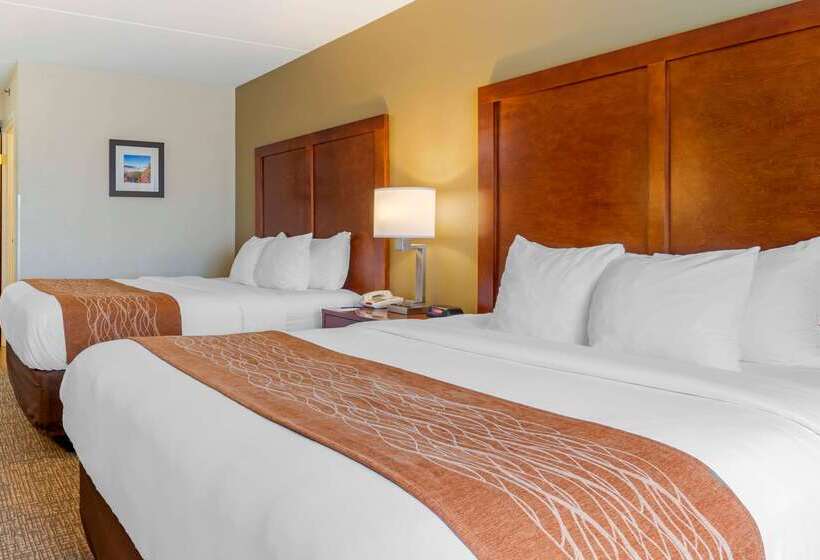 בית מלון כפרי Comfort Inn & Suites Wilkes Barre  Arena