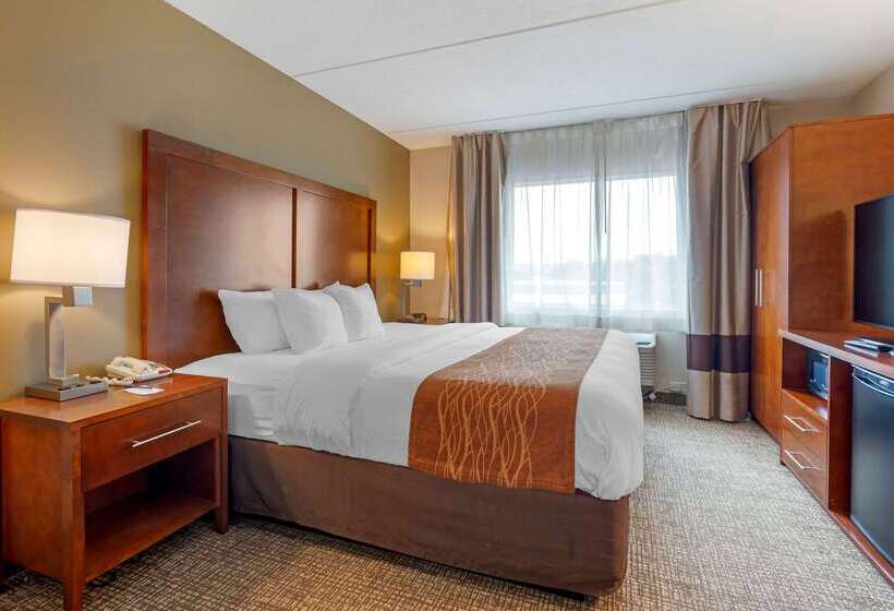 בית מלון כפרי Comfort Inn & Suites Wilkes Barre  Arena