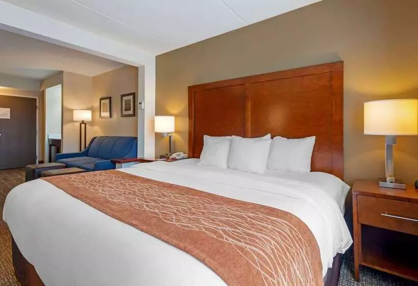 Отель Comfort Inn & Suites Wilkes Barre Arena