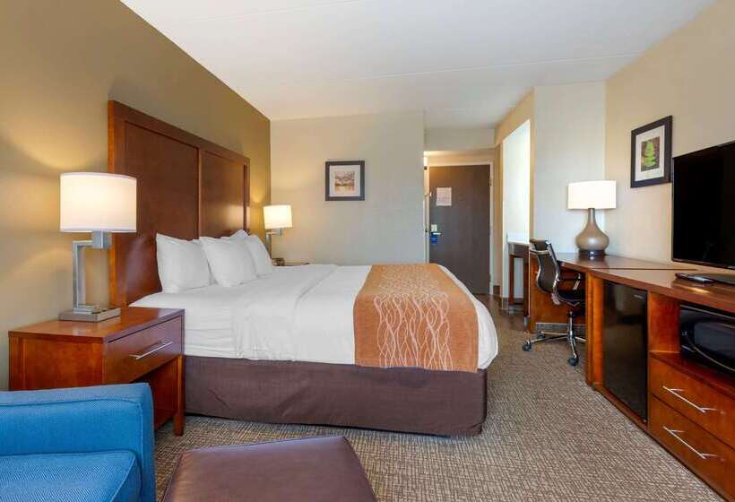 בית מלון כפרי Comfort Inn & Suites Wilkes Barre  Arena