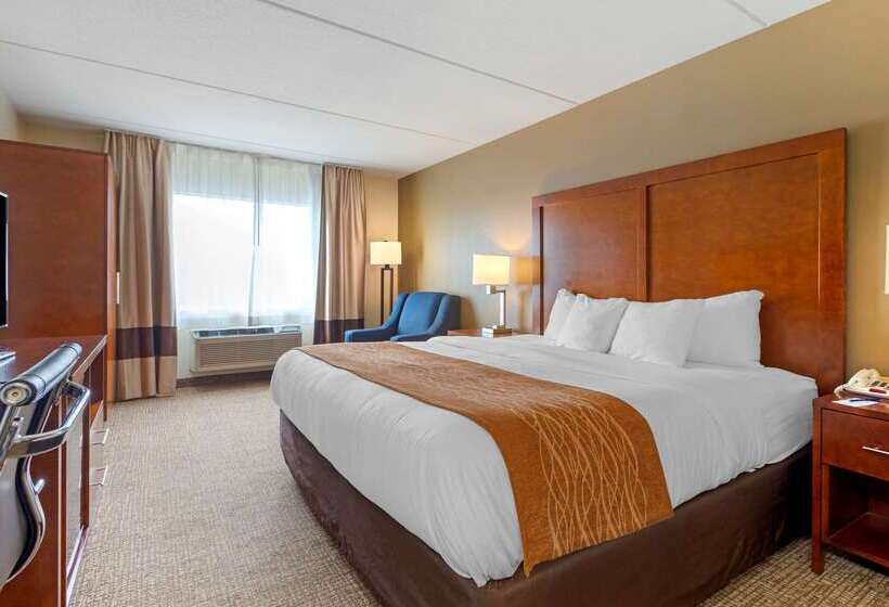 בית מלון כפרי Comfort Inn & Suites Wilkes Barre  Arena