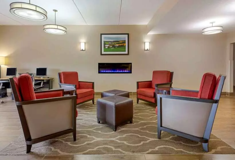 Отель Comfort Inn & Suites Wilkes Barre Arena