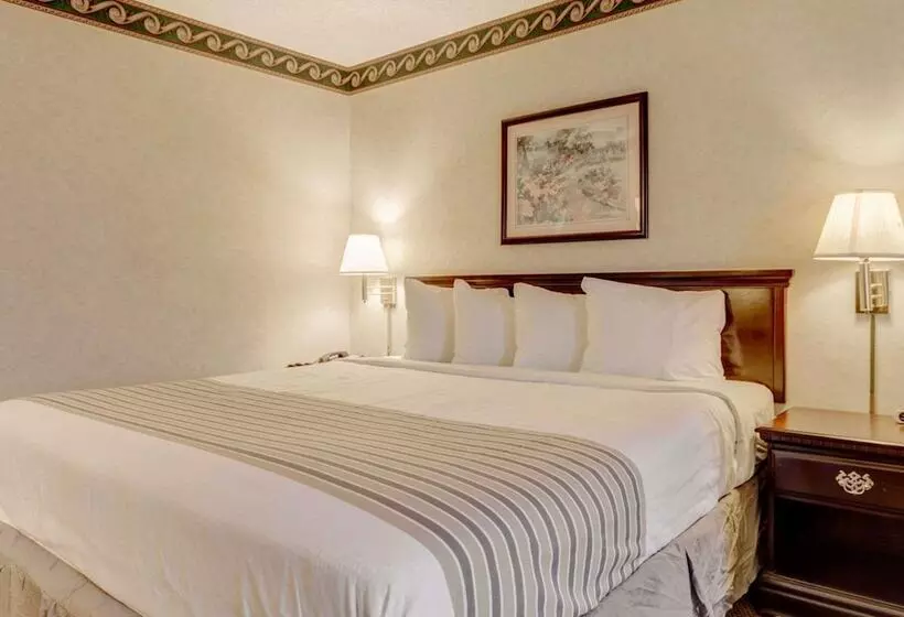 ホテル Econo Lodge Inn & Suites