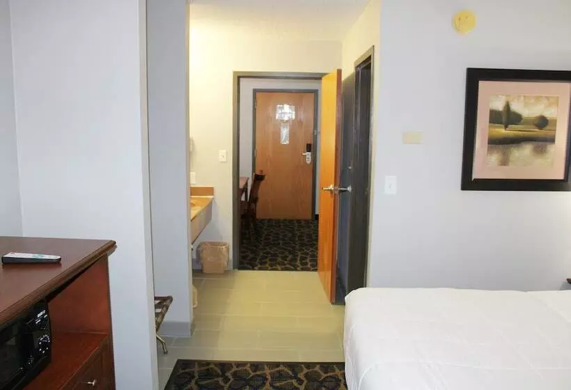 ホテル Greenlight Inn & Suites