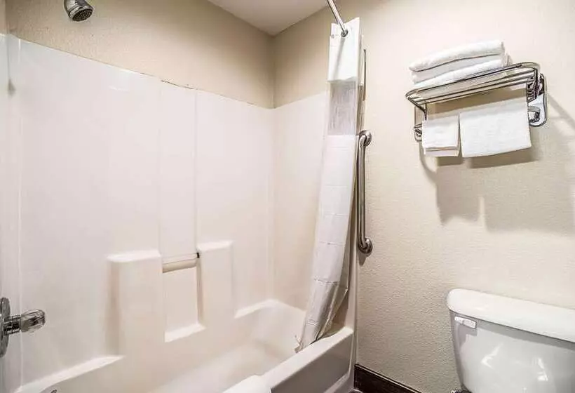 هتل Quality Inn Carbondale University Area