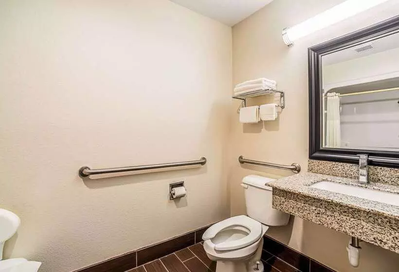 هتل Quality Inn Carbondale University Area